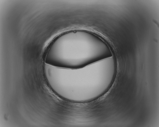 X0000103491502200809120939