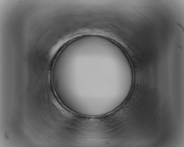 X0000103491503200809120939