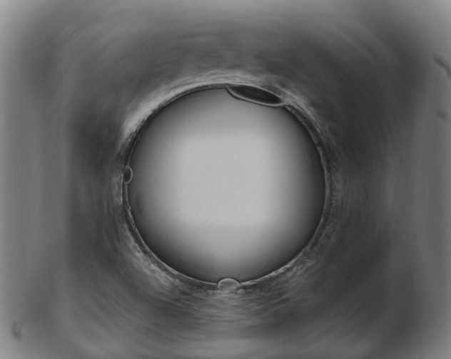 X0000103491504200809120939