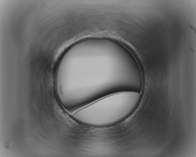 X0000103491506200809120939