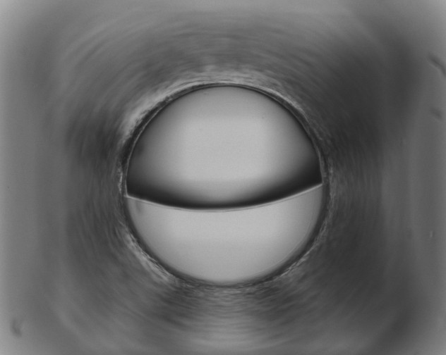 X0000103491507200809120939