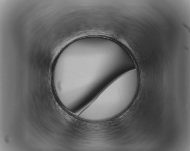 X0000103491508200809120939