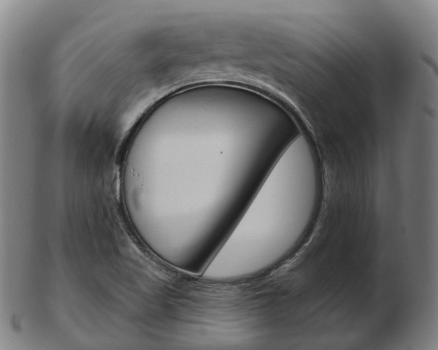X0000103491509200809120939