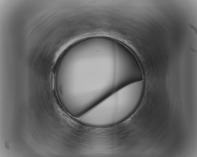 X0000103491510200809120939