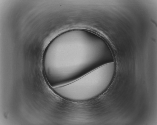 X0000103491512200809120939