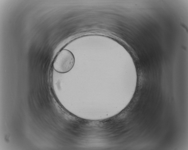 X0000103491514200809120939