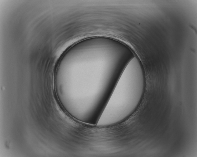 X0000103491515200809120939