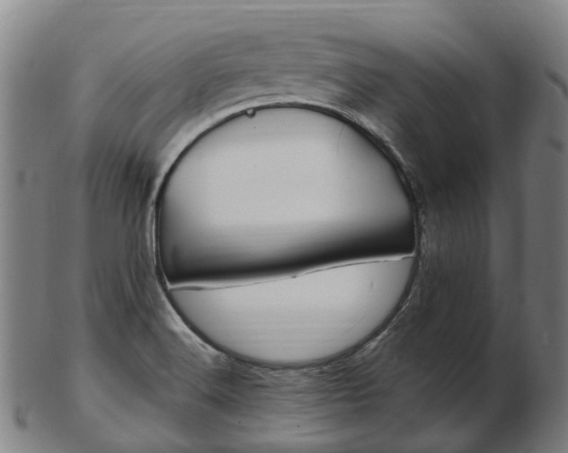 X0000103491516200809120939