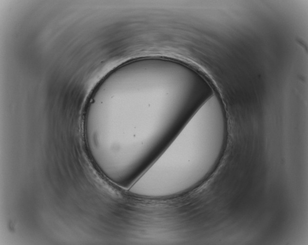 X0000103491517200809120939