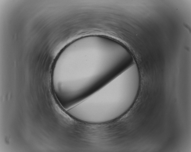 X0000103491518200809120939