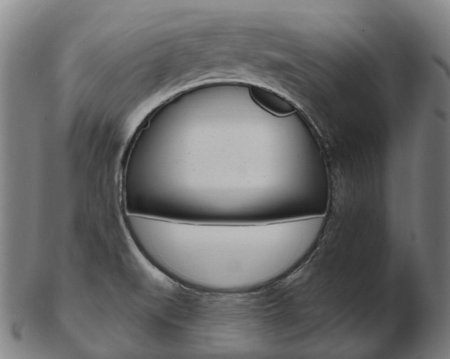 X0000103491519200809120939