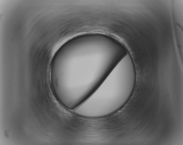 X0000103491520200809120939