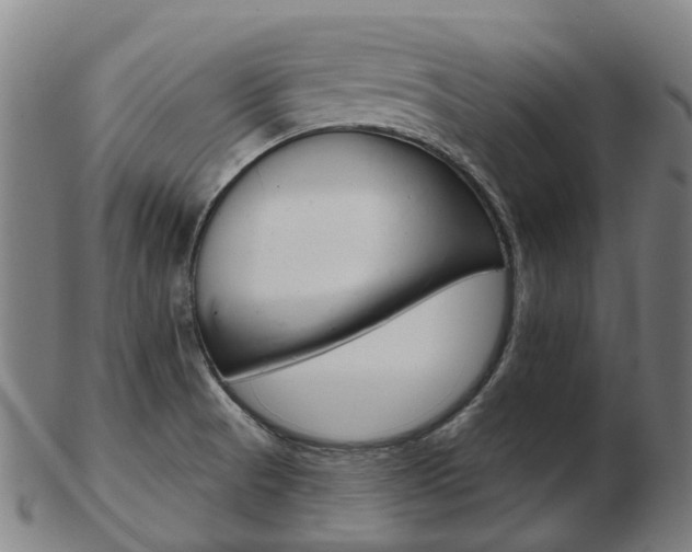 X0000103491521200809120939