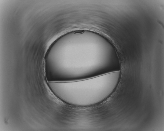 X0000103491522200809120939