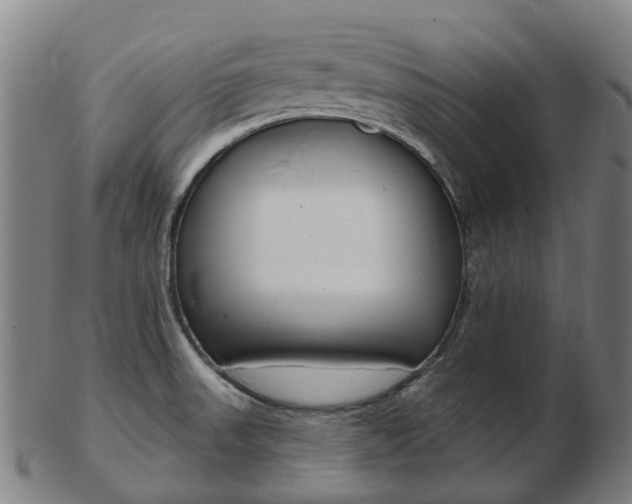 X0000103491523200809120939