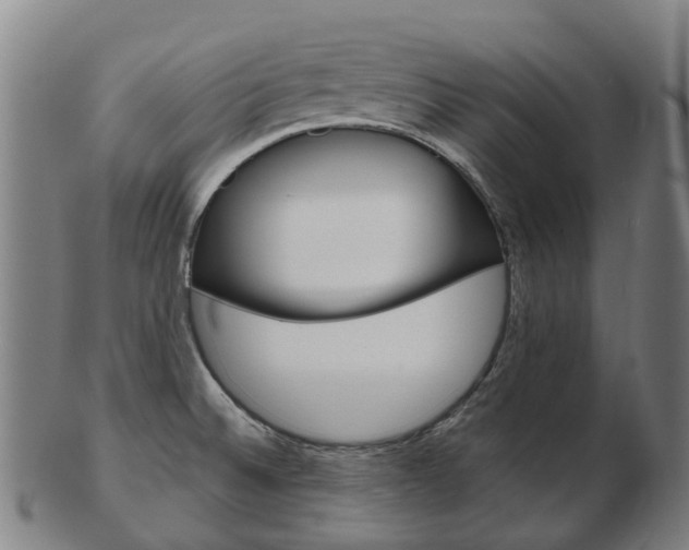 X0000103491524200809120939