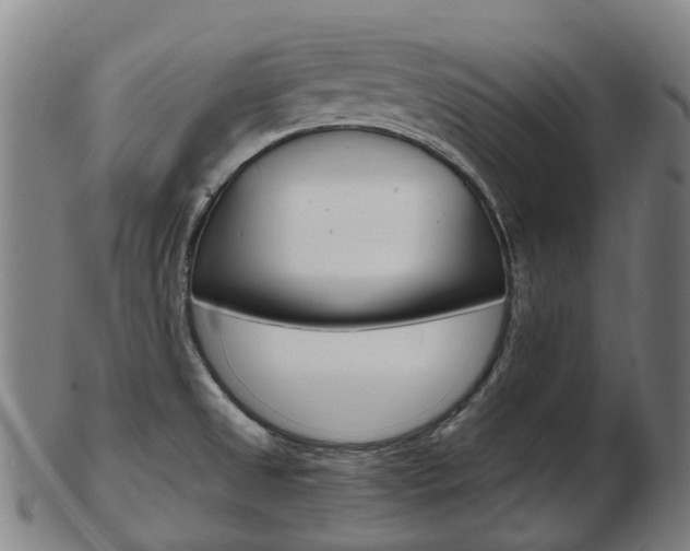 X0000103491525200809120939