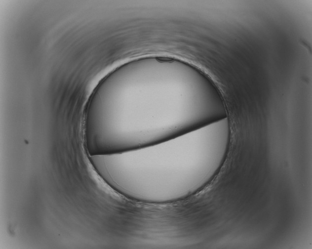 X0000103491526200809120939
