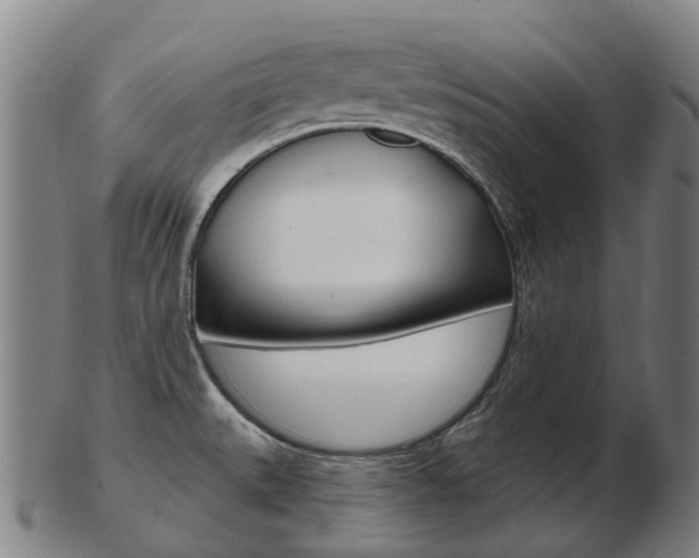 X0000103491527200809120939