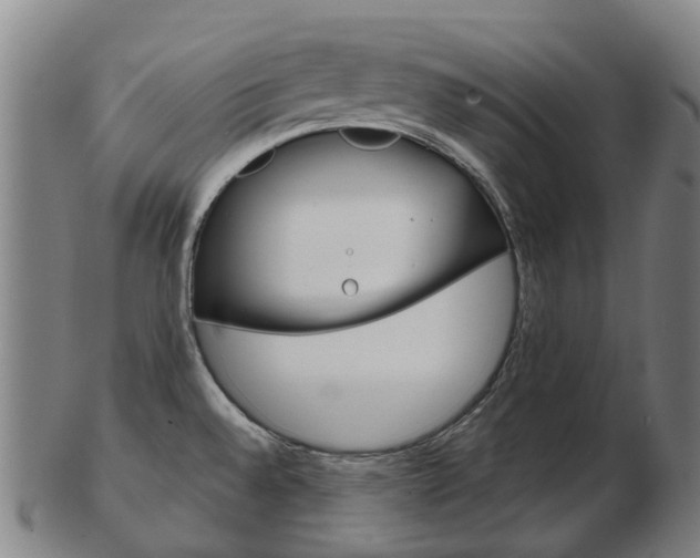 X0000103491528200809120939