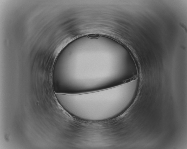 X0000103491529200809120939