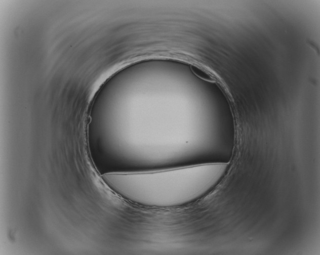 X0000103491530200809120939