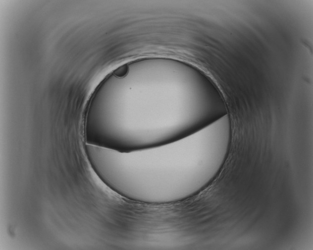 X0000103491531200809120939