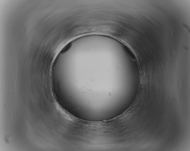 X0000103491532200809120939