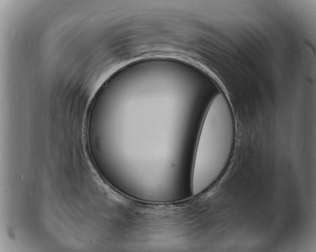 X0000103491533200809120939