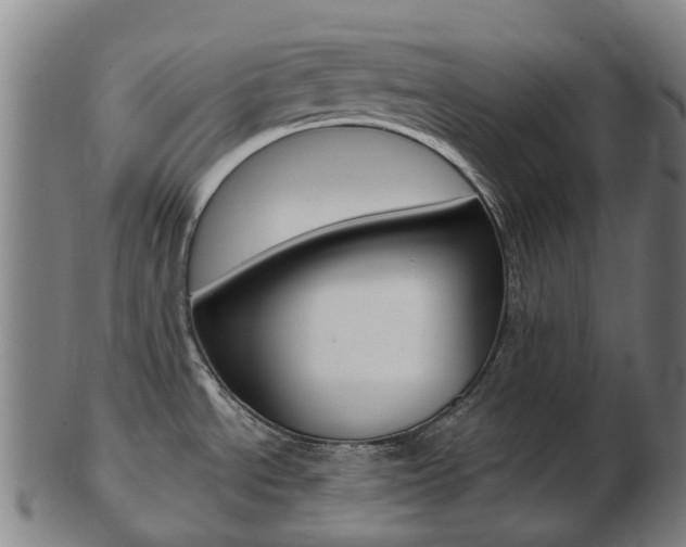X0000103491534200809120939