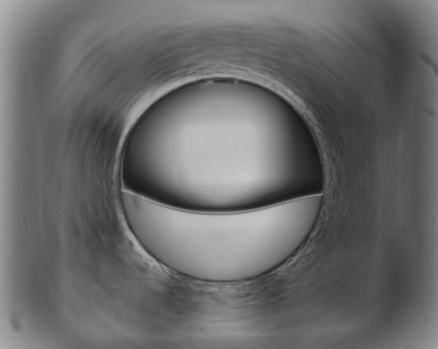 X0000103491536200809120939