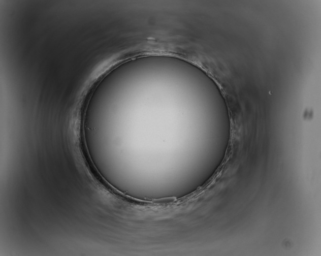 X0000103490005200809121726