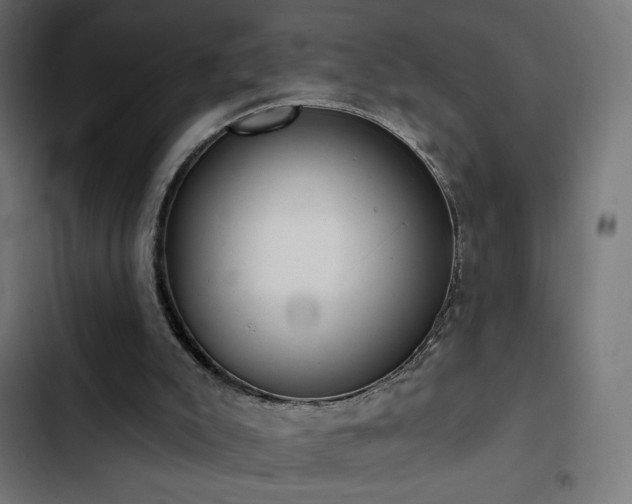 X0000103490007200809121726