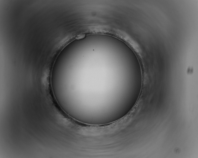 X0000103490009200809121726