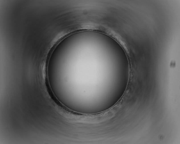 X0000103490011200809121726