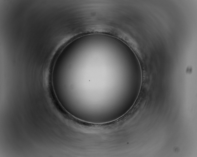 X0000103490012200809121726