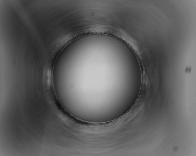 X0000103490013200809121726