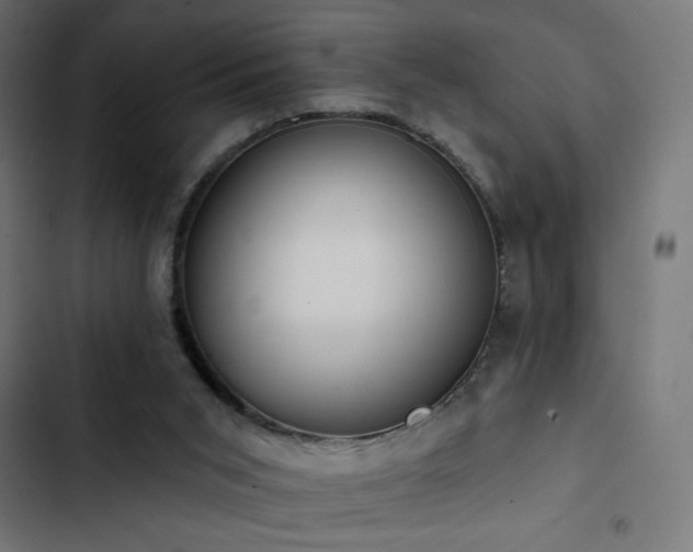 X0000103490015200809121726