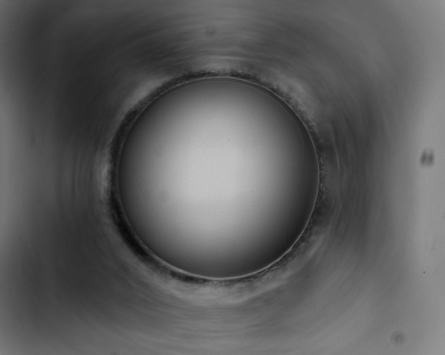 X0000103490016200809121726