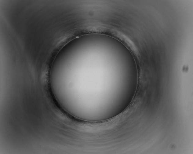 X0000103490017200809121725