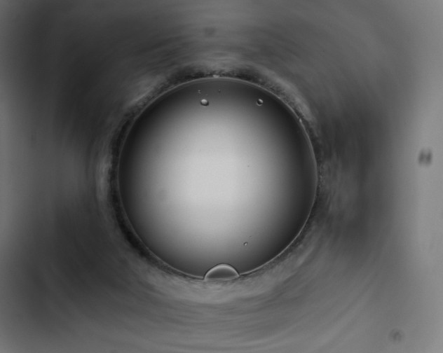 X0000103490018200809121725