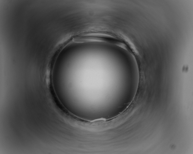 X0000103490019200809121725