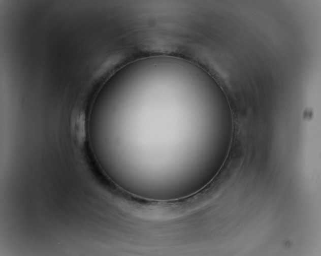 X0000103490020200809121725