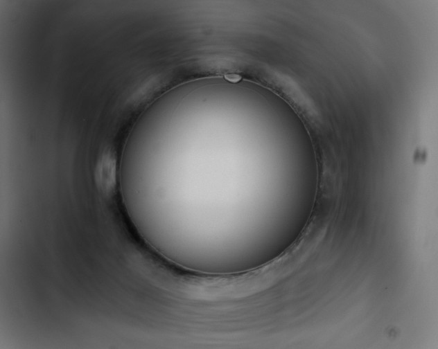 X0000103490021200809121725