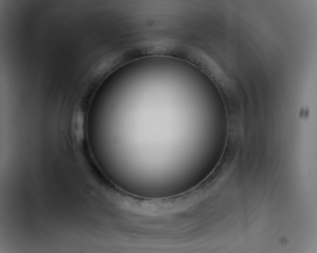 X0000103490022200809121725