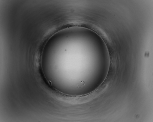 X0000103490023200809121725