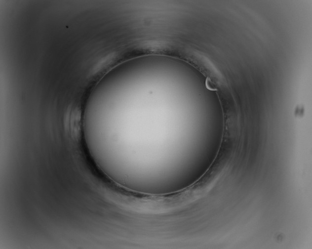 X0000103490024200809121725