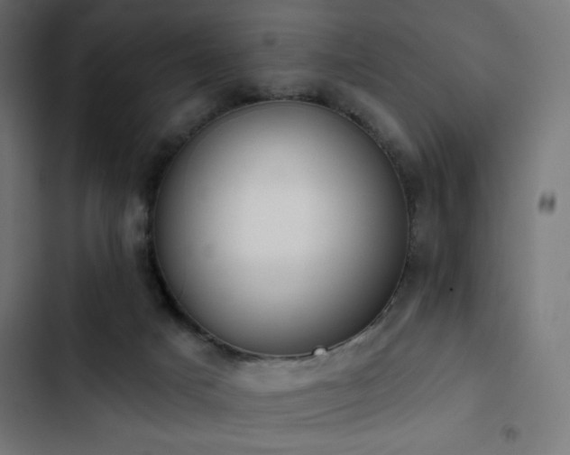 X0000103490025200809121725