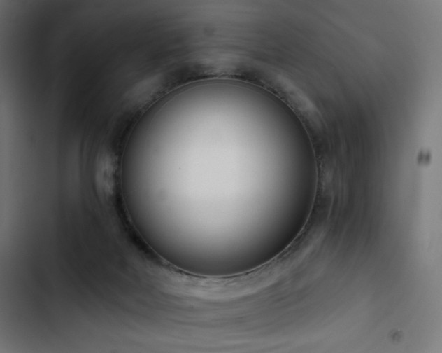 X0000103490026200809121725