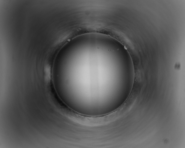 X0000103490027200809121725